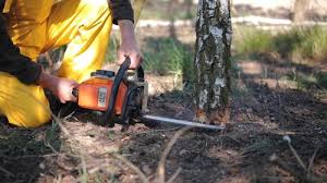Best Lawn Watering Services  in Stokesdale, NC